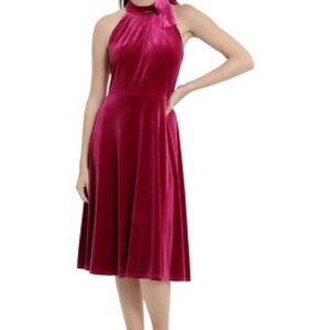 Maggy London Elegant Emilia Velvet Halter Dress in Rich Pink/Red